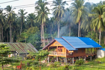 Village Morning