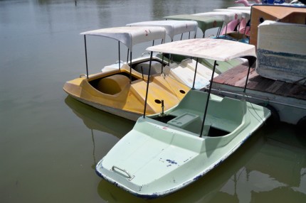 Paddle Boats